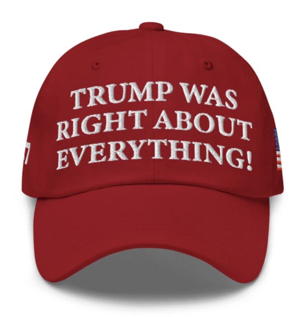 Trump Was Right About Everything Dad Hat