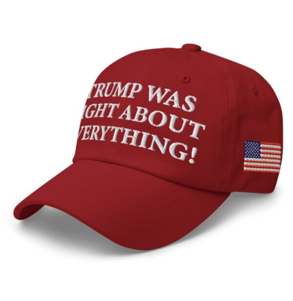 Trump Was Right About Everything Dad Hat - Image 3