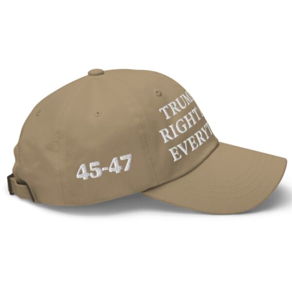 Trump Was Right About Everything Khaki Hat