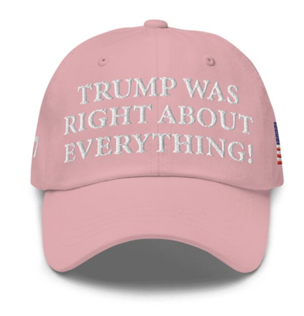 Trump Was Right About Everything Pink Hat