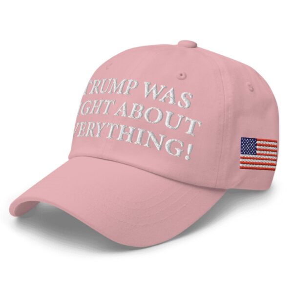 Trump Was Right About Everything Pink Hat