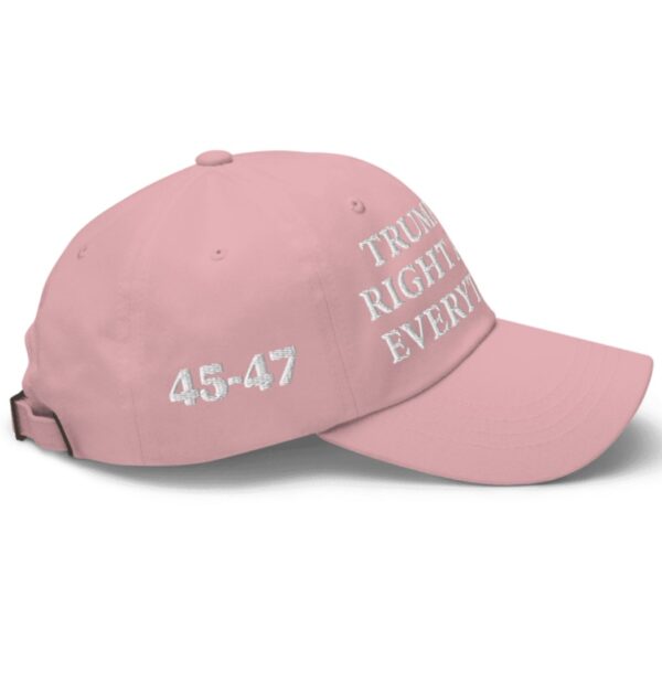 Trump Was Right About Everything Pink Hat