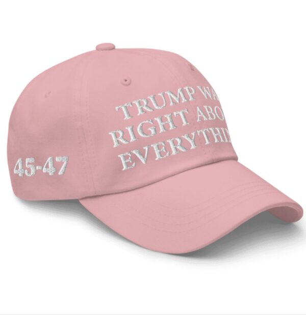 Trump Was Right About Everything Pink Hat