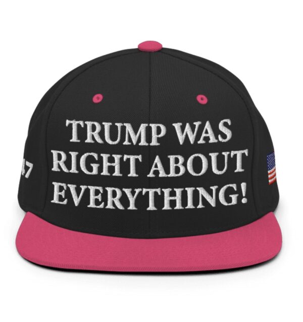 Trump Was Right About Everything Pink Snapback