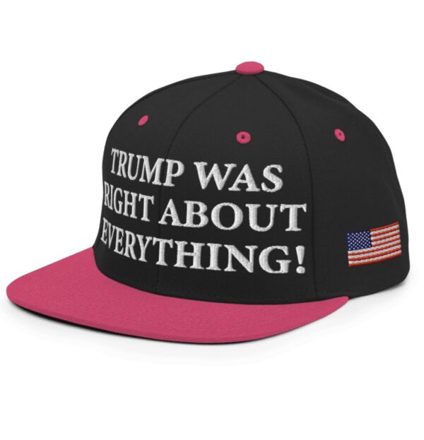 Trump Was Right About Everything Pink Snapback