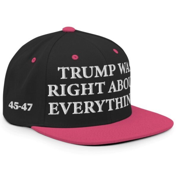 Trump Was Right About Everything Pink Snapback