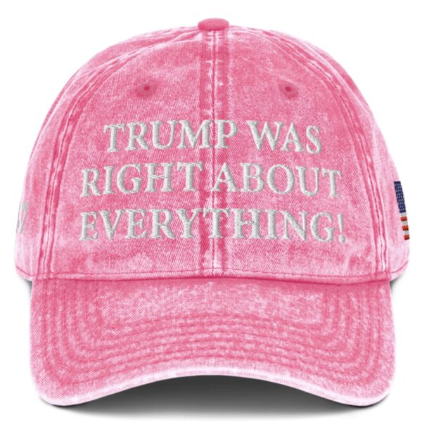 Trump Was Right About Everything Pink Vintage Cap