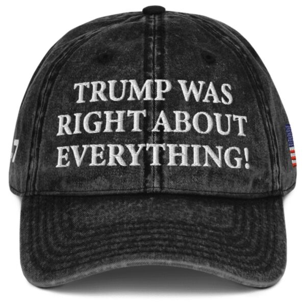 Trump Was Right About Everything Vintage Cap